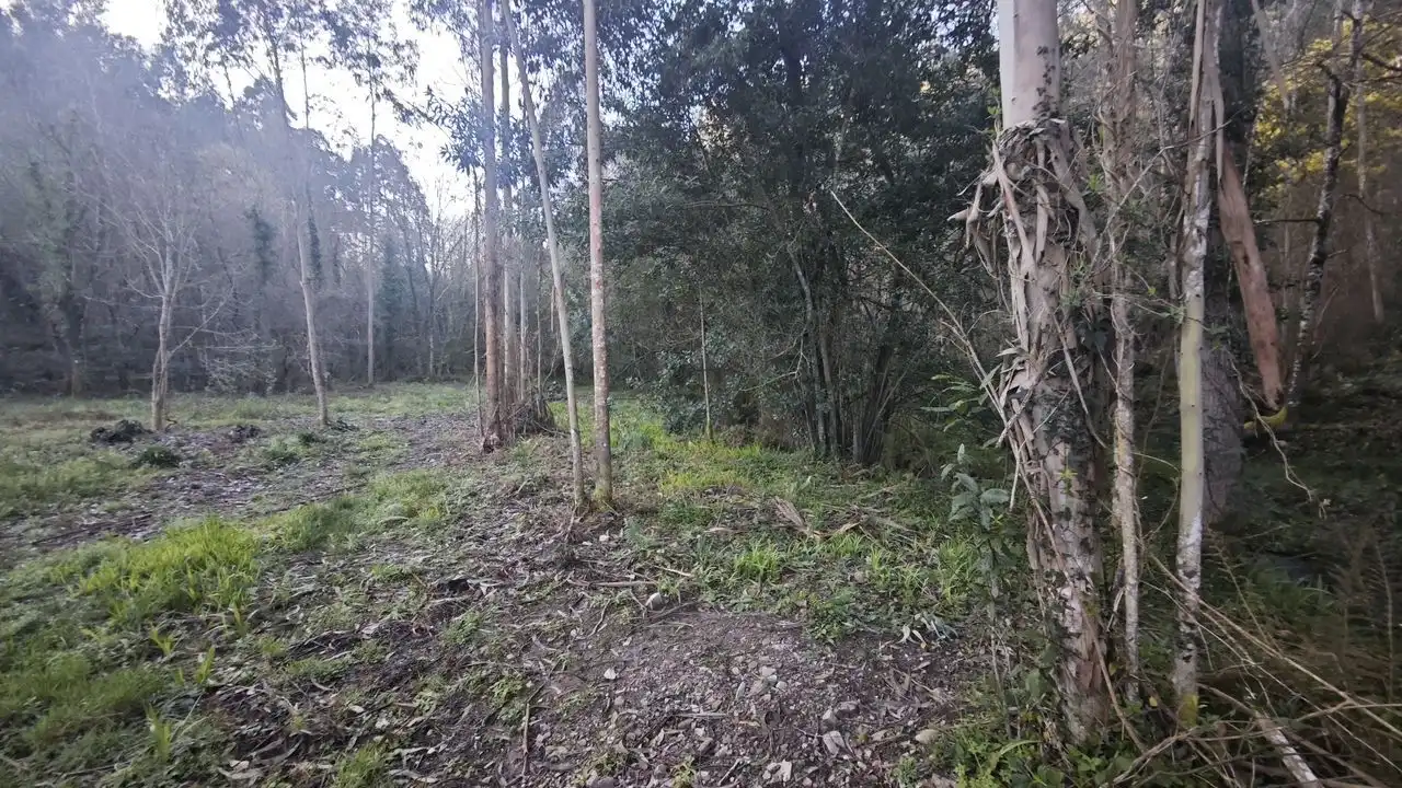Terreno rustico in vendita a Pría - Nueva-Hontoria - Naves, imagen 14