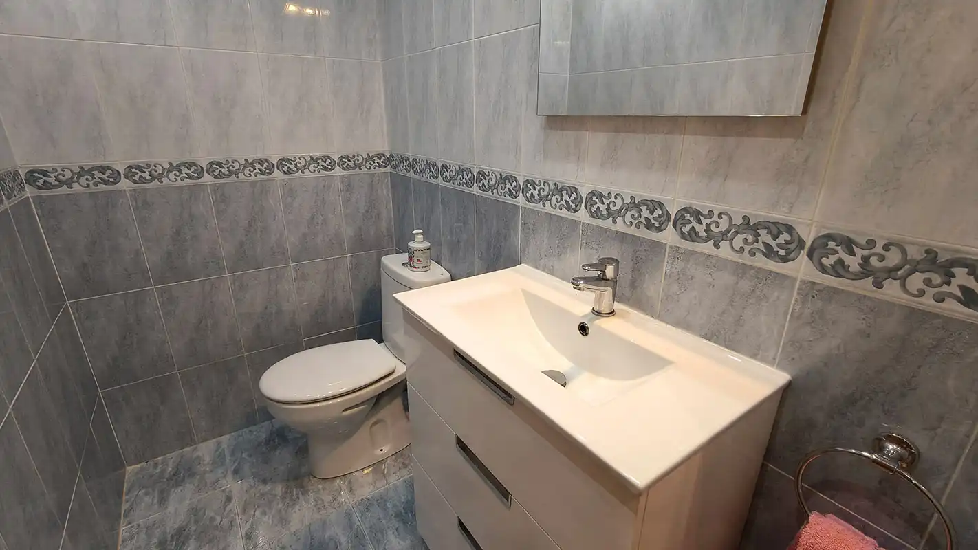 Bathroom of Detached homes for sale in Pedanías Oeste