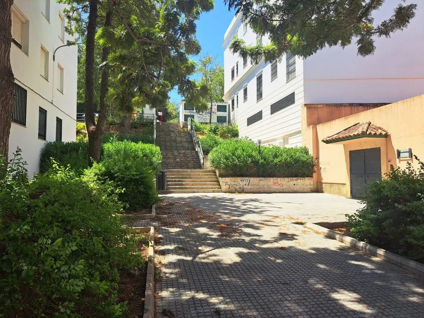 Vista exterior de Planta baja en venta en Chiclana de la Frontera