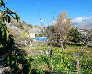 Jardí de Finca rústica en venda en Motril amb Terrassa