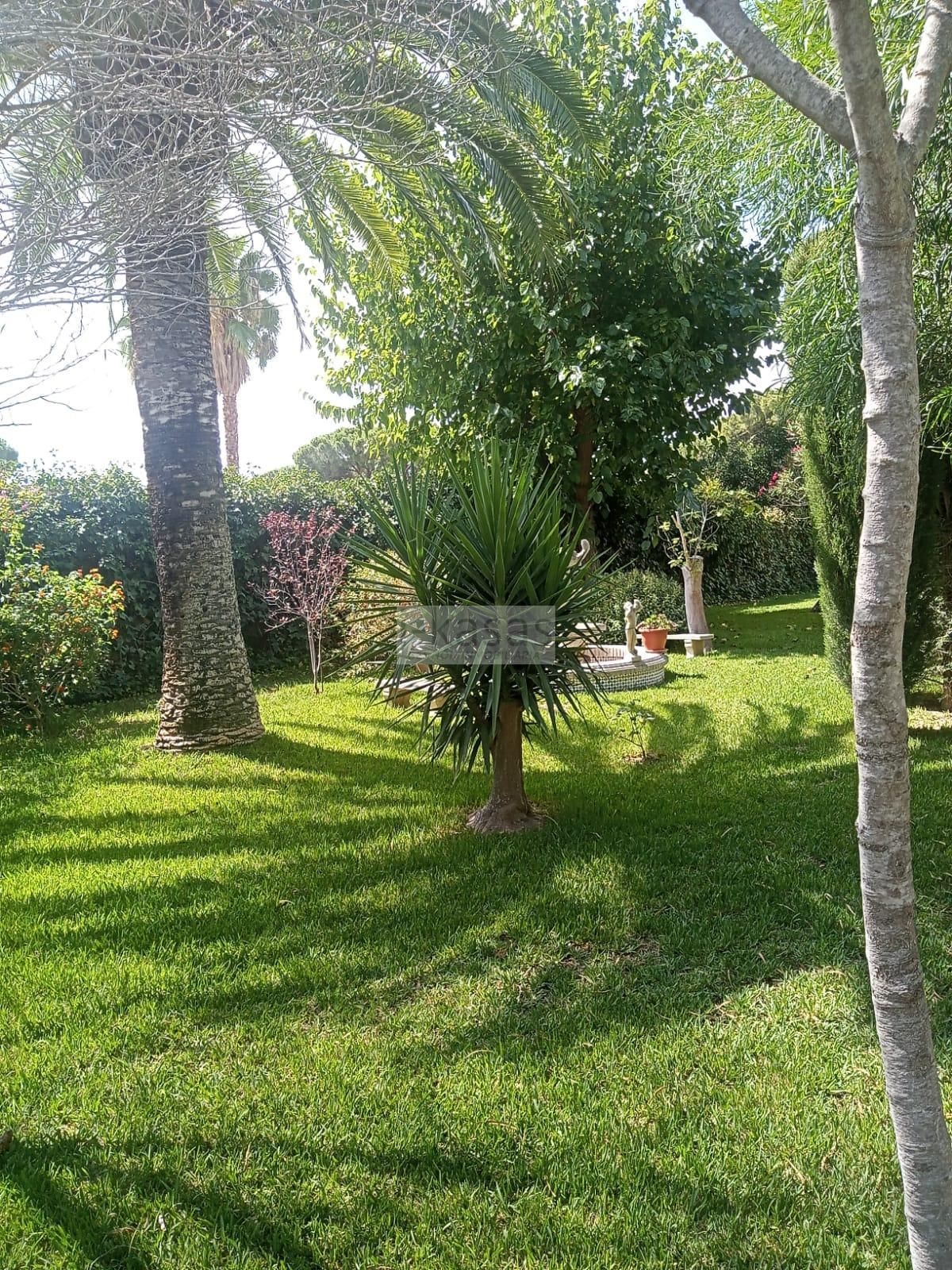 Garden of House or chalet for sale in Jerez de la Frontera  with Swimming Pool