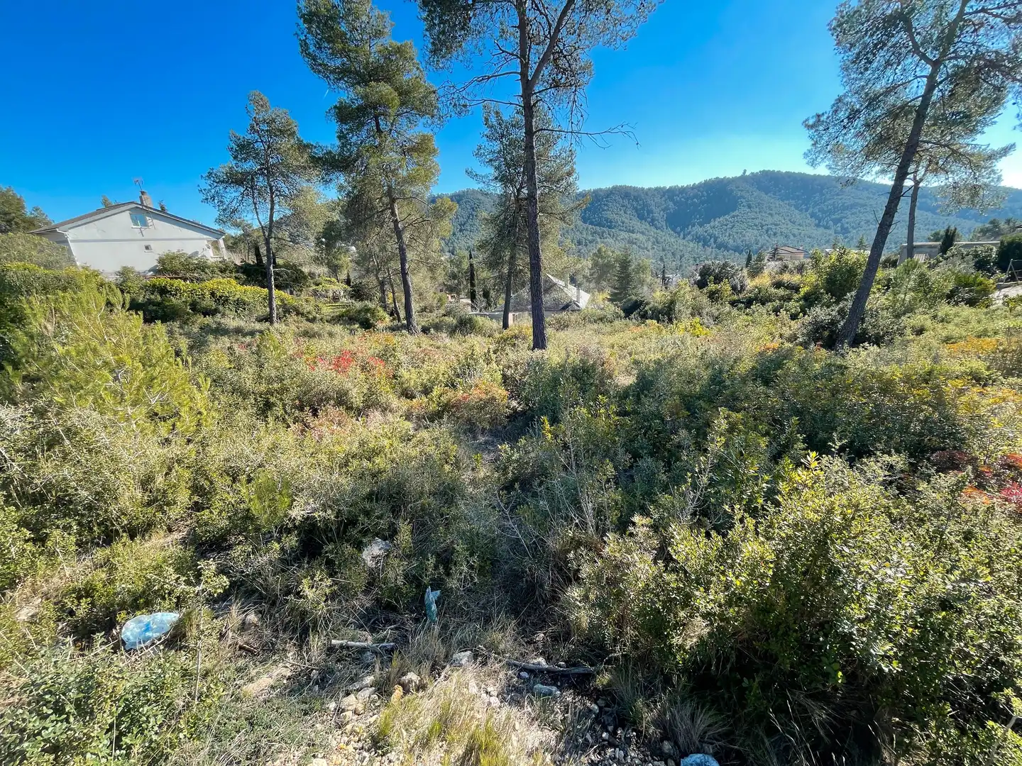 Terreny residencial en venda a Carrer Riu Anoia 2A, imagen 4