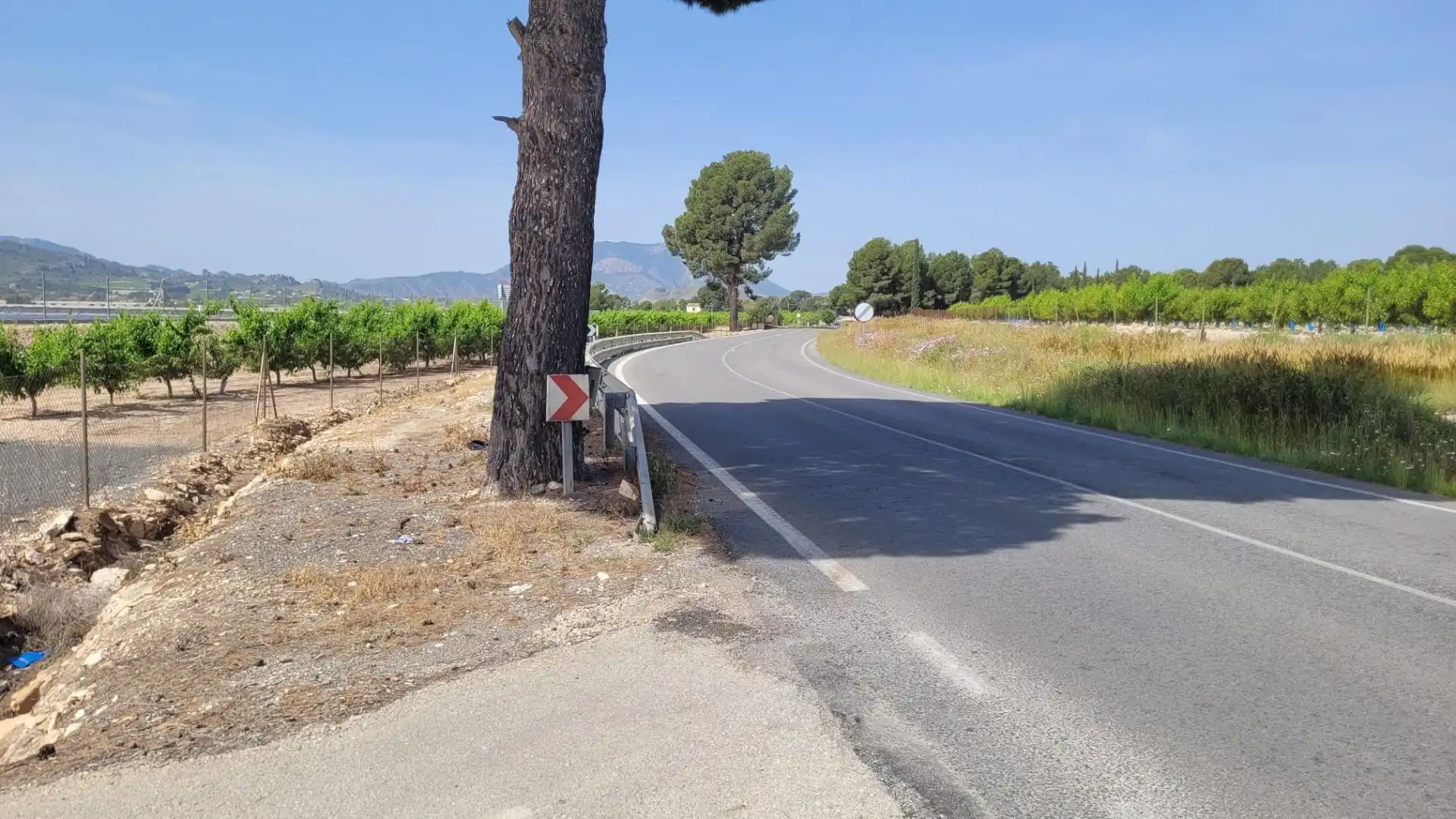 Land for sale in Blanca