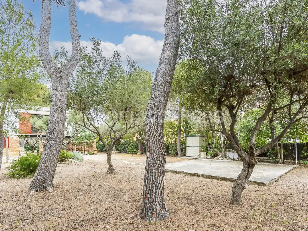 Maison à vendre à Carrer dels Pins, imagen 31
