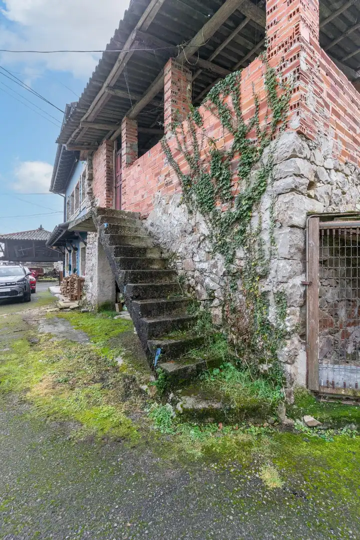 Vista exterior de Finca rústica en venta en Amieva