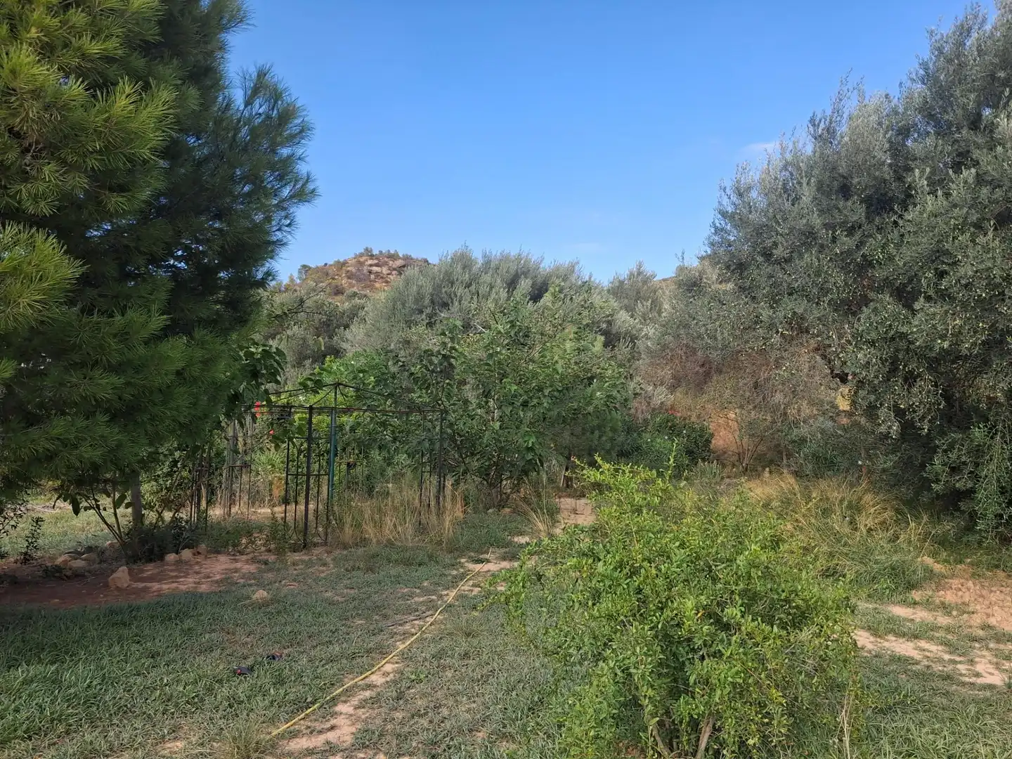 Chalet en venta en Polígono 5 Paraje 127 334, imagen 26