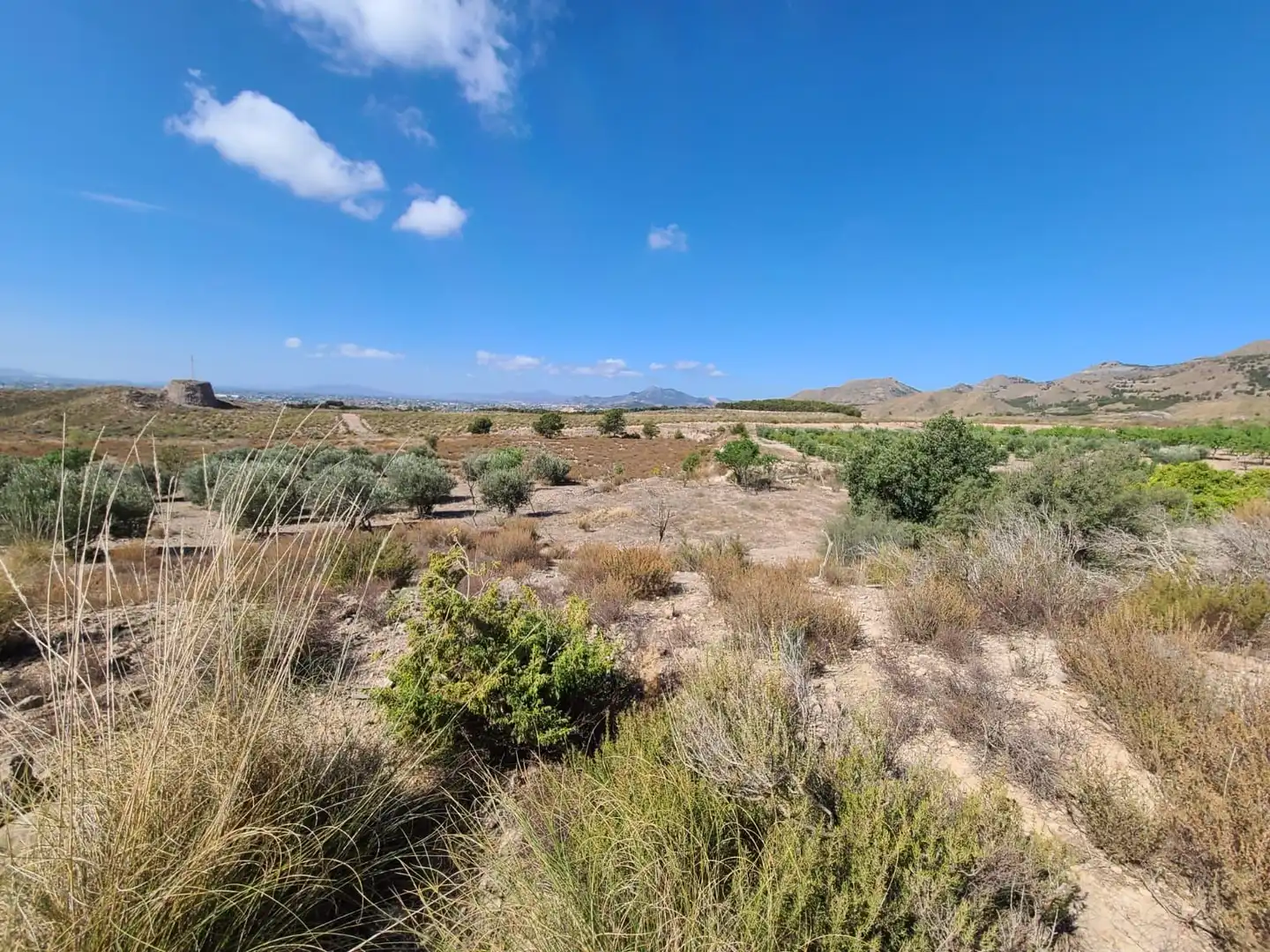 Terrains et parcelles à vendre à Pedanías Centro, imagen 36
