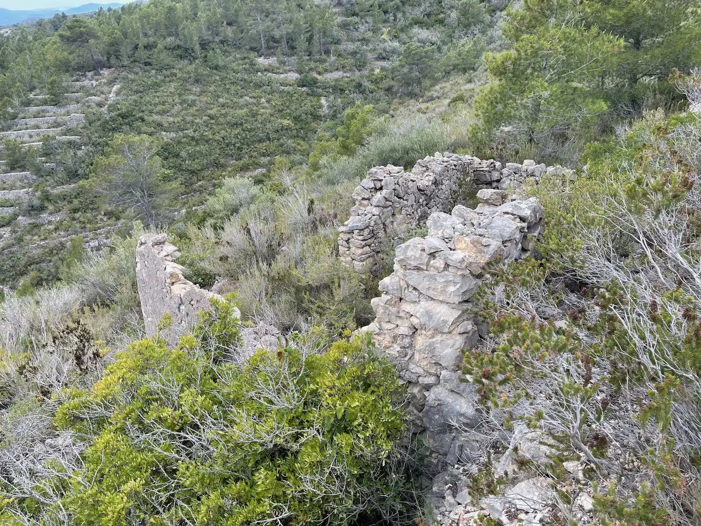 Residencial en venda en Tortosa