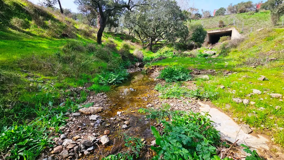 Terreni e lotti in vendita a Santa Olalla del Cala, imagen 23