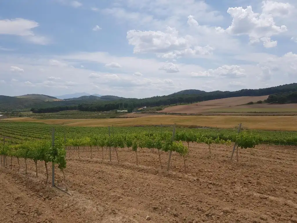 Rural land for sale in c/ palancona, imagen 2