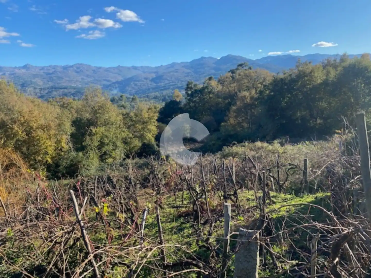 Adossat amb jardí en venda a Entrimo, imagen 25