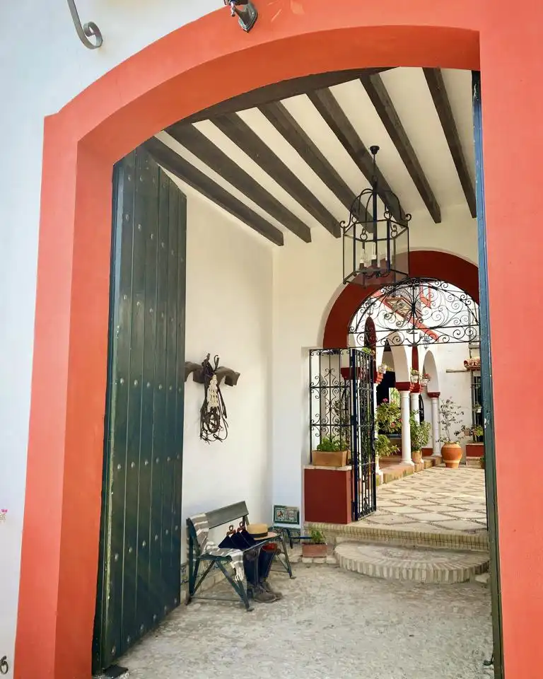 Country house with terrace for sale in Morón de la Frontera, imagen 43