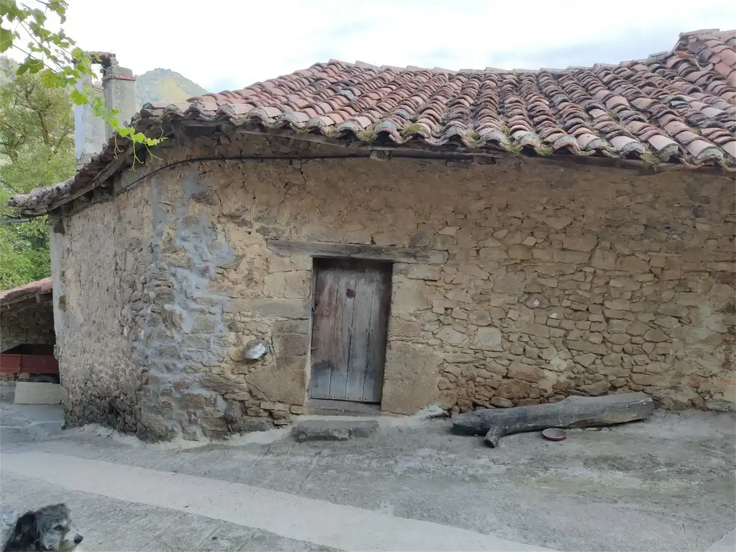 Vista exterior de Pis en venda en Vega de Liébana amb Traster