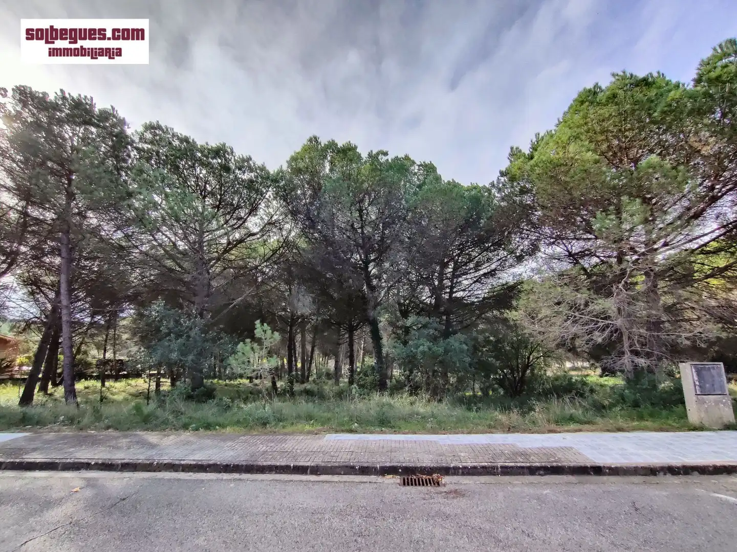 Terrenys i solars en venda a Gregal 32, imagen 2
