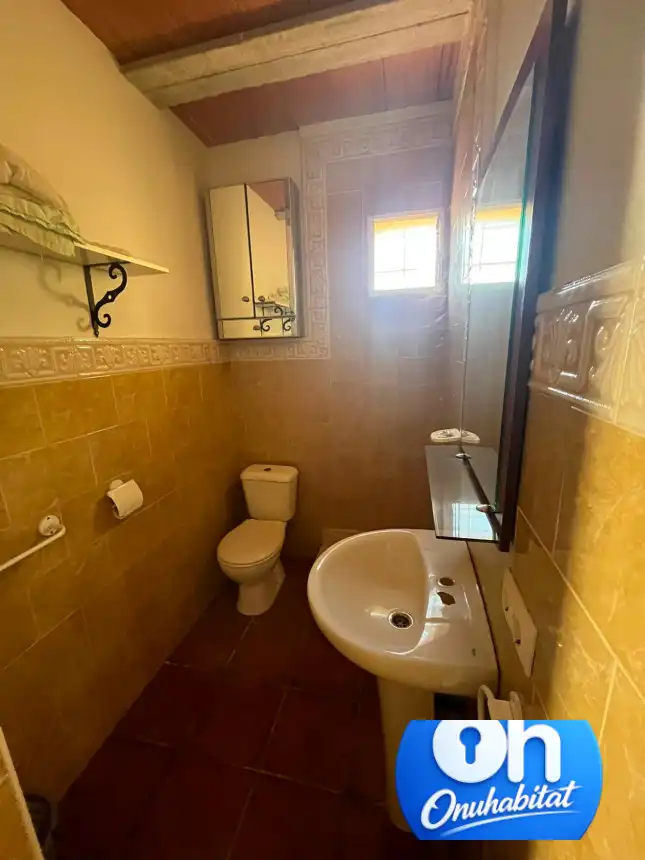Baño de Casa o chalet en venta en Moguer con Jardín privado y Amueblado