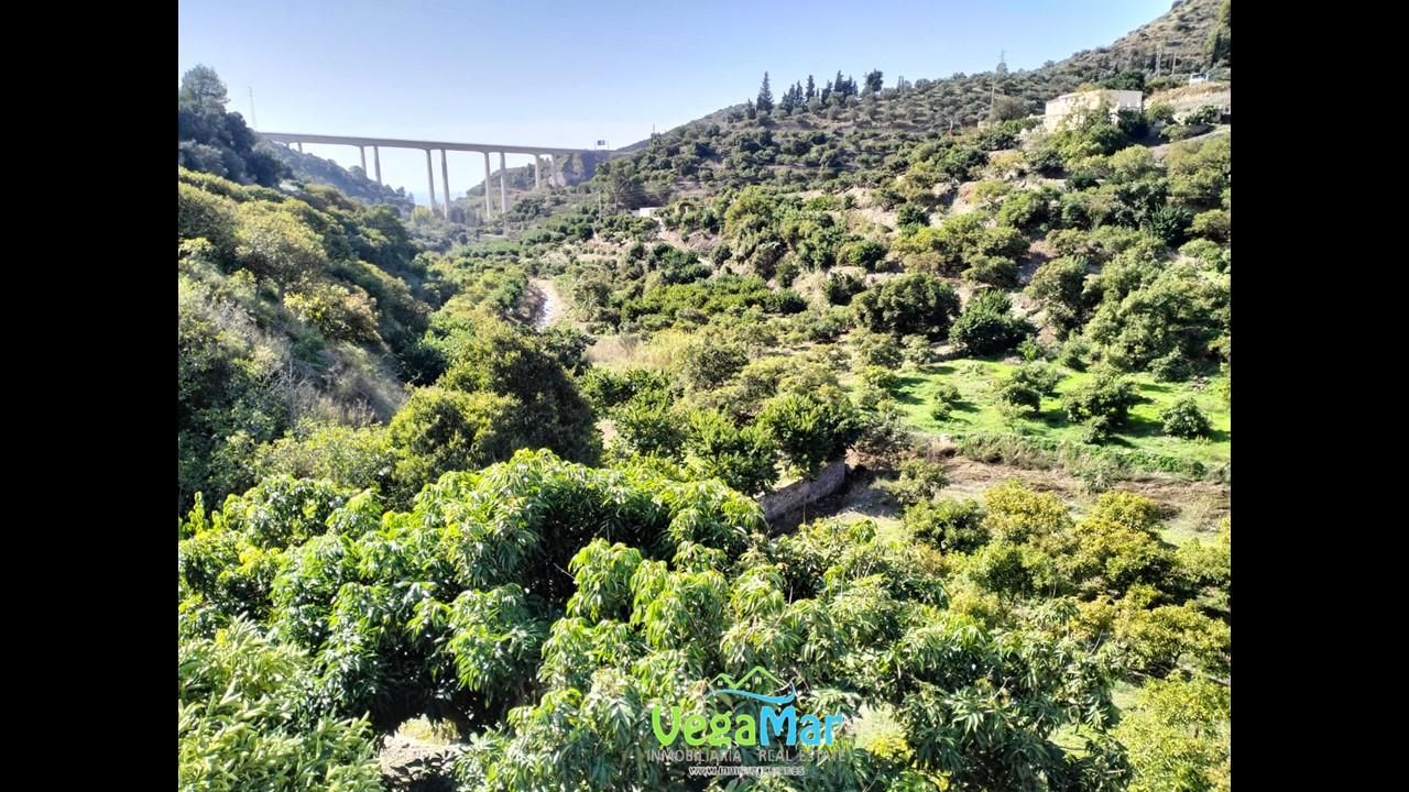 Vista exterior de Finca rústica en venda en Almuñécar