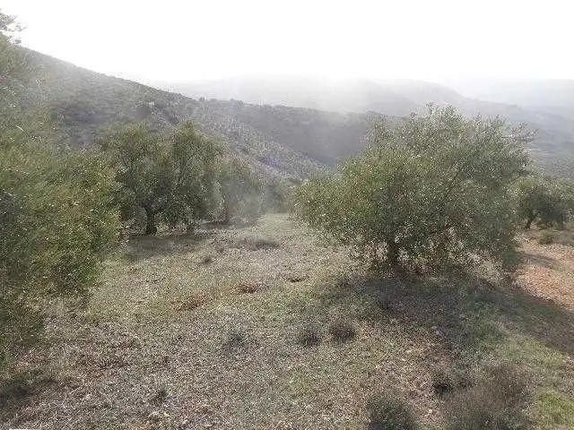 Terreni e lotti in vendita a Huelma