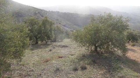 Finca Agraria en venta en Huelma (Jaén)