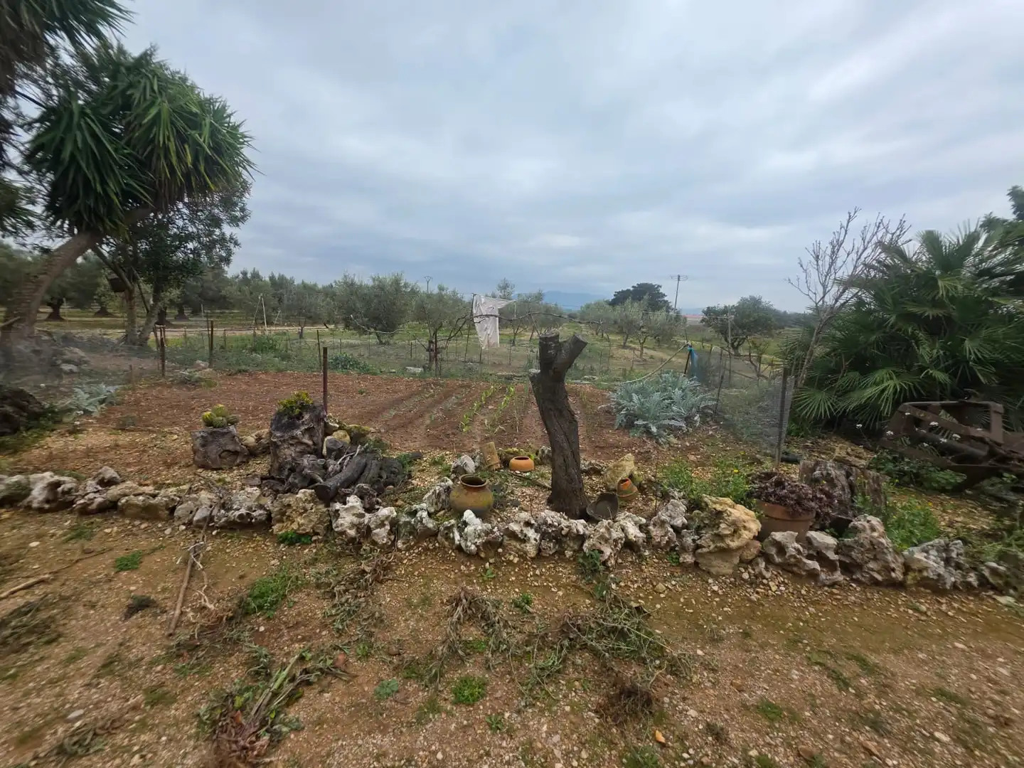 Terreno rustico in vendita a Santa Bàrbara, imagen 29