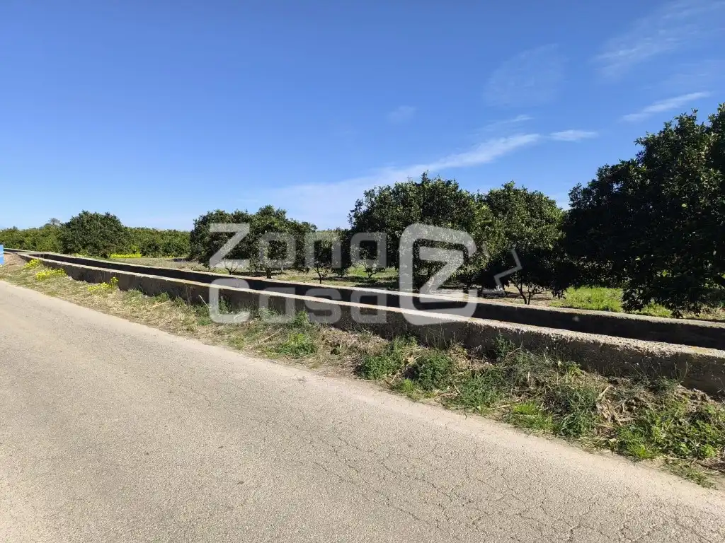 Country house for sale in Partida Barqueta La, imagen 6
