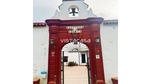 Foto 3 de Casa o chalet en venta en Carmona, Sevilla