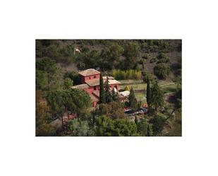 Garden of Country house for sale in Benahavís