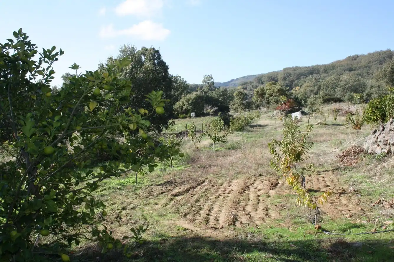 Finca rústica en venta en Torremenga con Jardín privado, Terraza y Amueblado