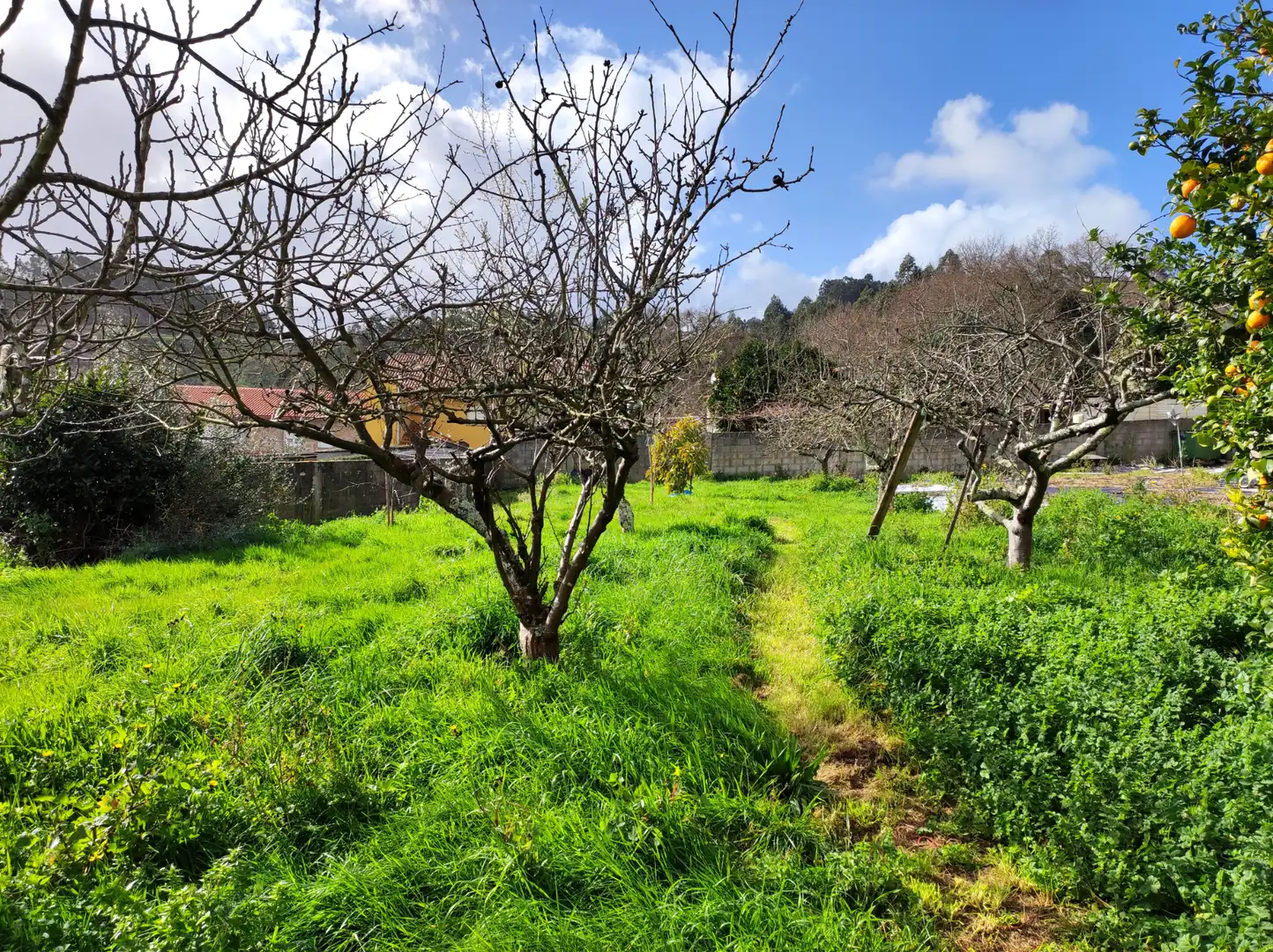 Casa o chalet en venta en Culleredo con Calefacción, Jardín privado y Terraza
