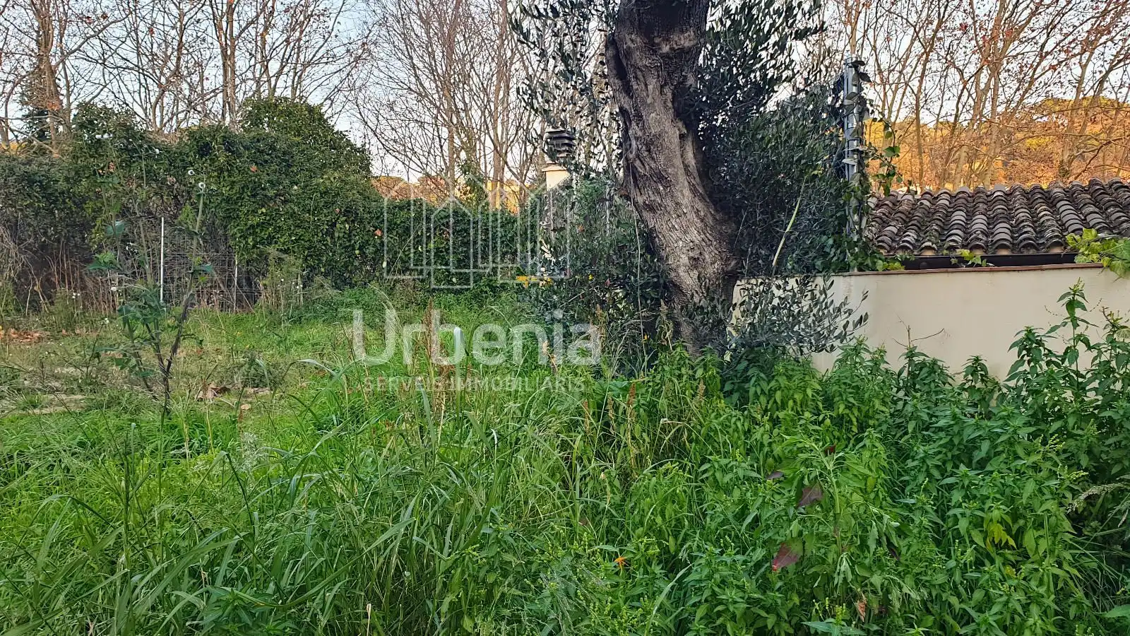 Terreno rústico en venta en Sant Iscle de Vallalta, imagen 4