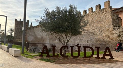 Foto 5 de Finca rústica en venda a Lledoner. del, Ciutat d'Alcúdia, Alcúdia