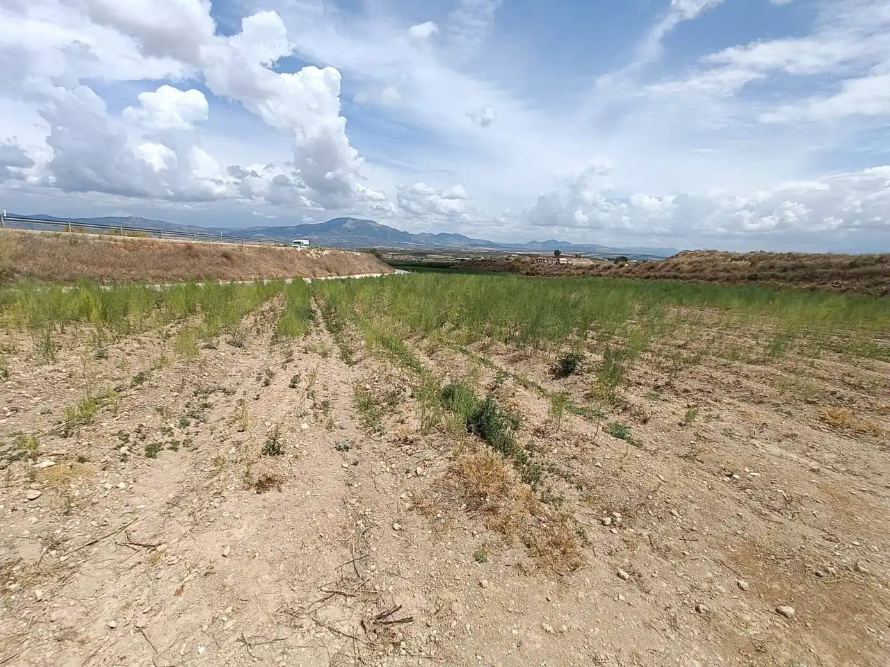 Rural land for sale in Moraleda de Zafayona, imagen 14