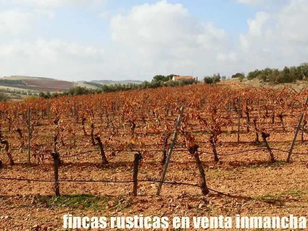 Rural land for sale in Valdepeñas, imagen 10