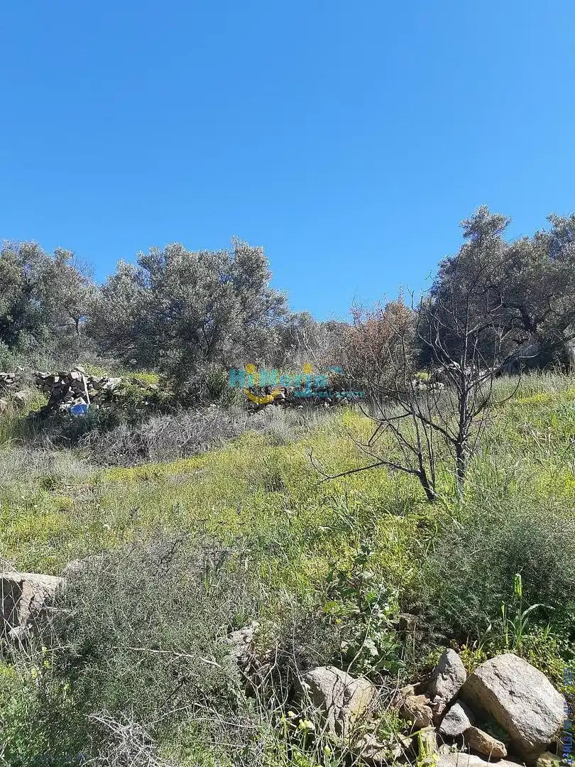 Terreni e lotti in vendita a Torrox Pueblo, imagen 17