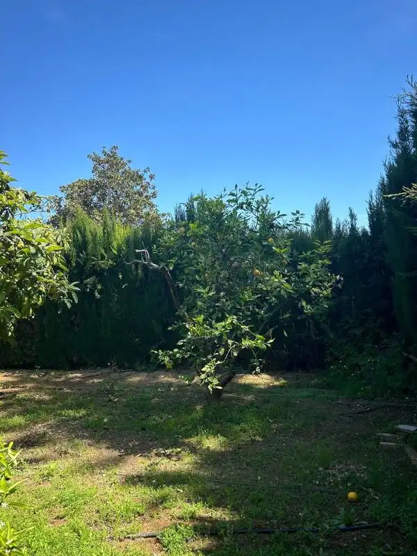 Villa con terrazza in vendita a Urb. Tancat de l'Alter, imagen 45
