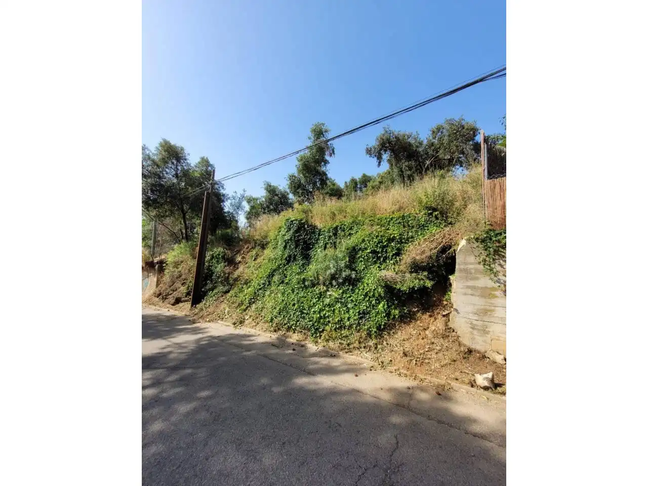 Terreny rústic en venda a El Racó - Sant Feliu del Racó, imagen 3