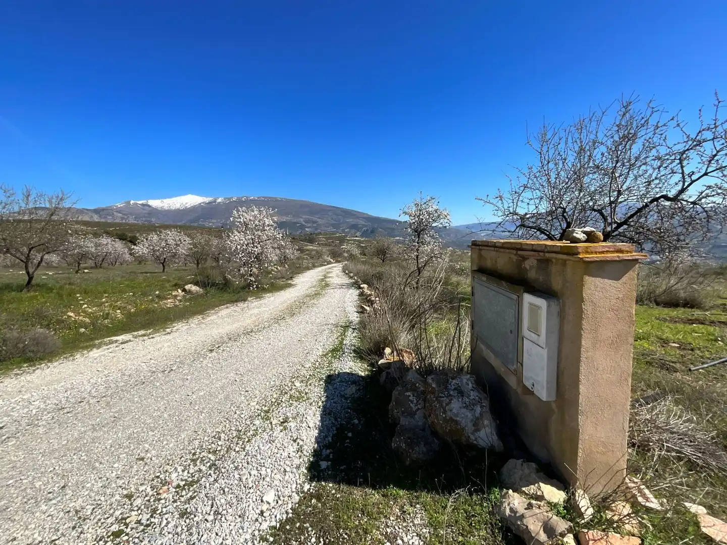 Terreni e lotti in vendita a El marchal, El valle, imagen 17