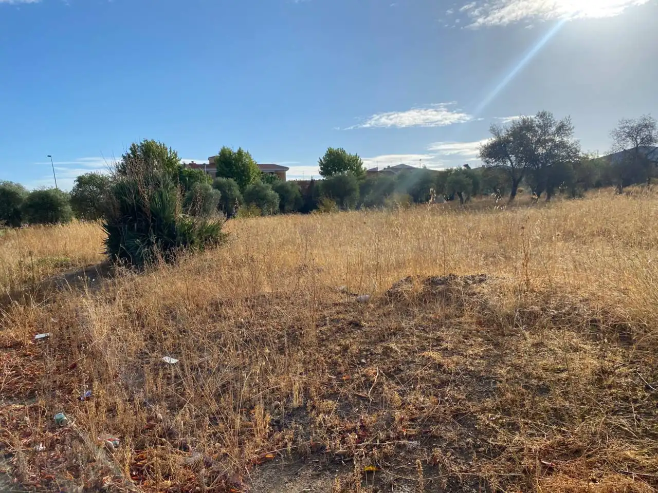 Terreni e lotti in vendita a Villanueva de la Serena