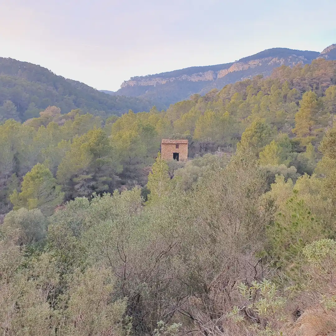Rustikales Grundstück zum Verkauf in El Pinell de Brai, imagen 28