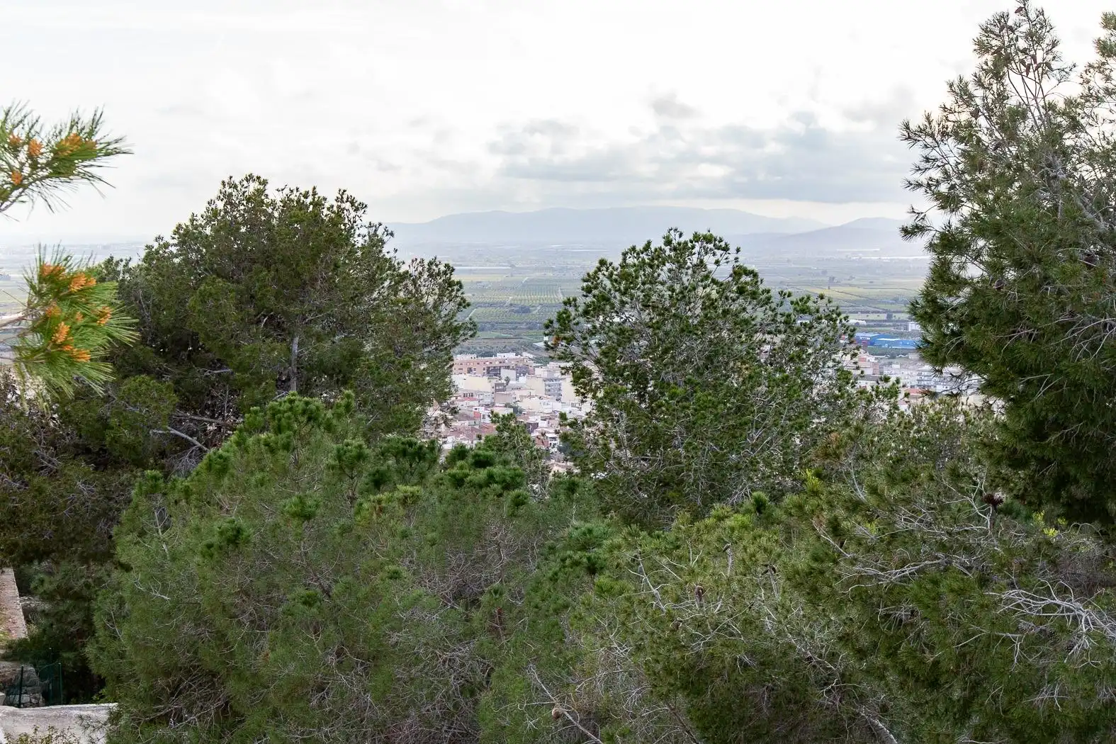 Casa o chalet en venta en Alcanar