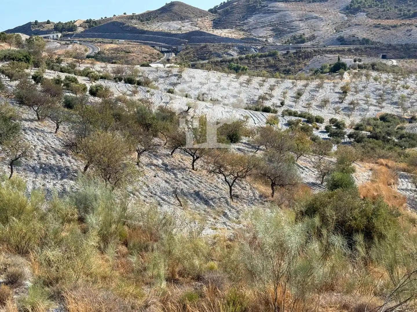 Grundstücke zum Verkauf in Vélez de Benaudalla