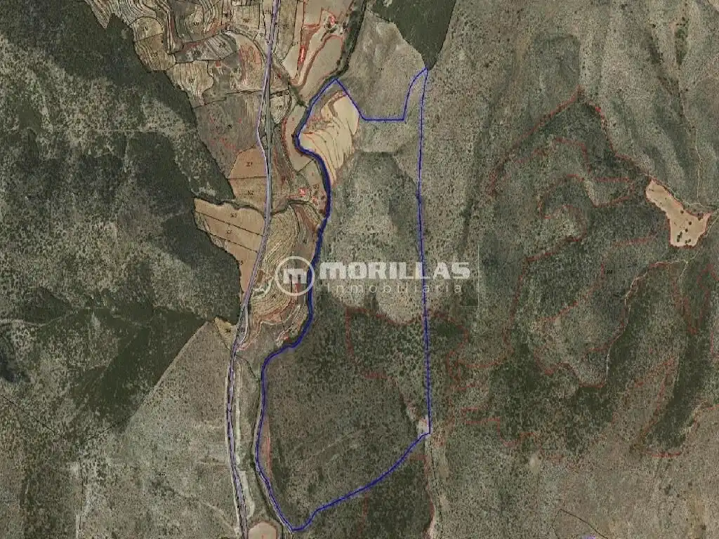 Land for sale in Puebla de Don Fadrique