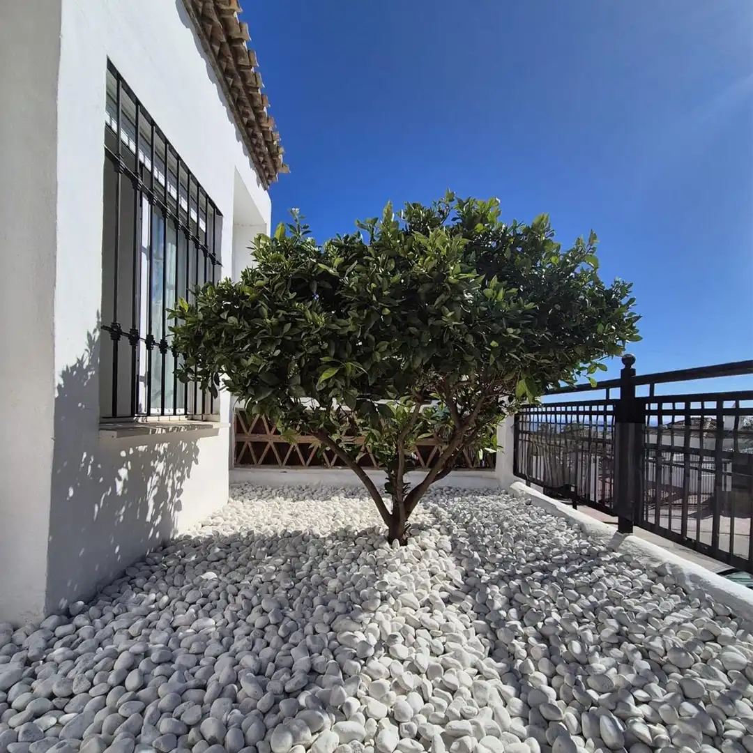 Apartament amb piscina en venda a Solymar, imagen 3