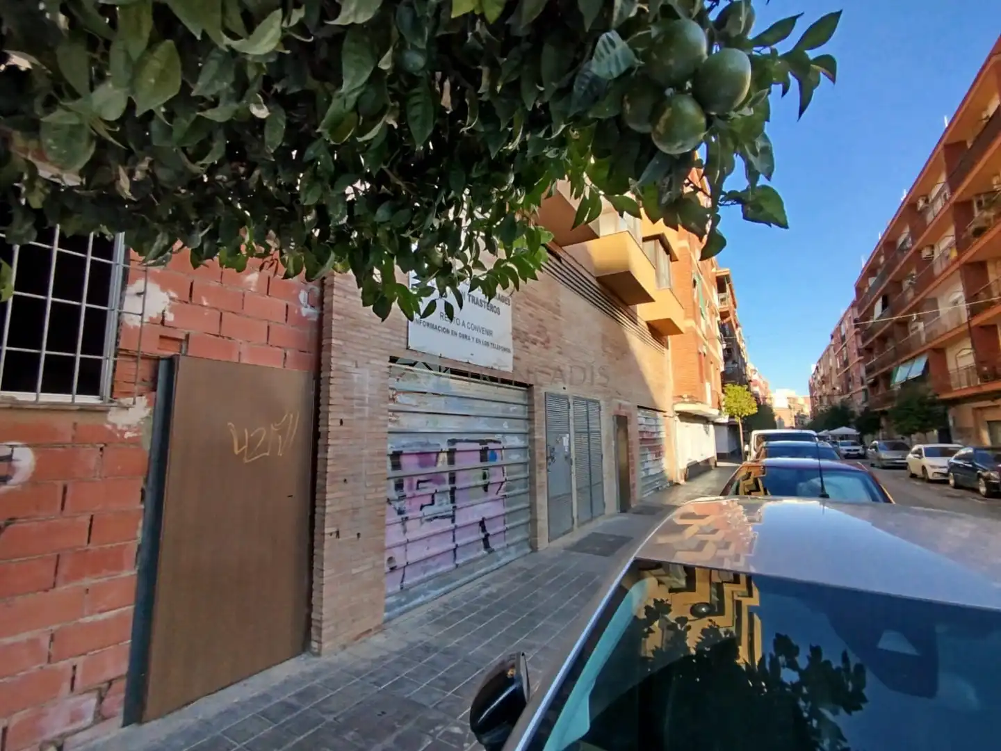 Locale commerciale in vendita a majoral, imagen 3