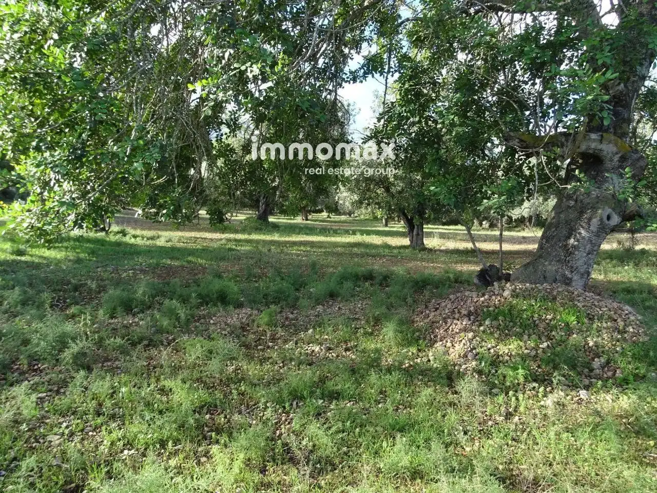 Houses for sale in Aldover