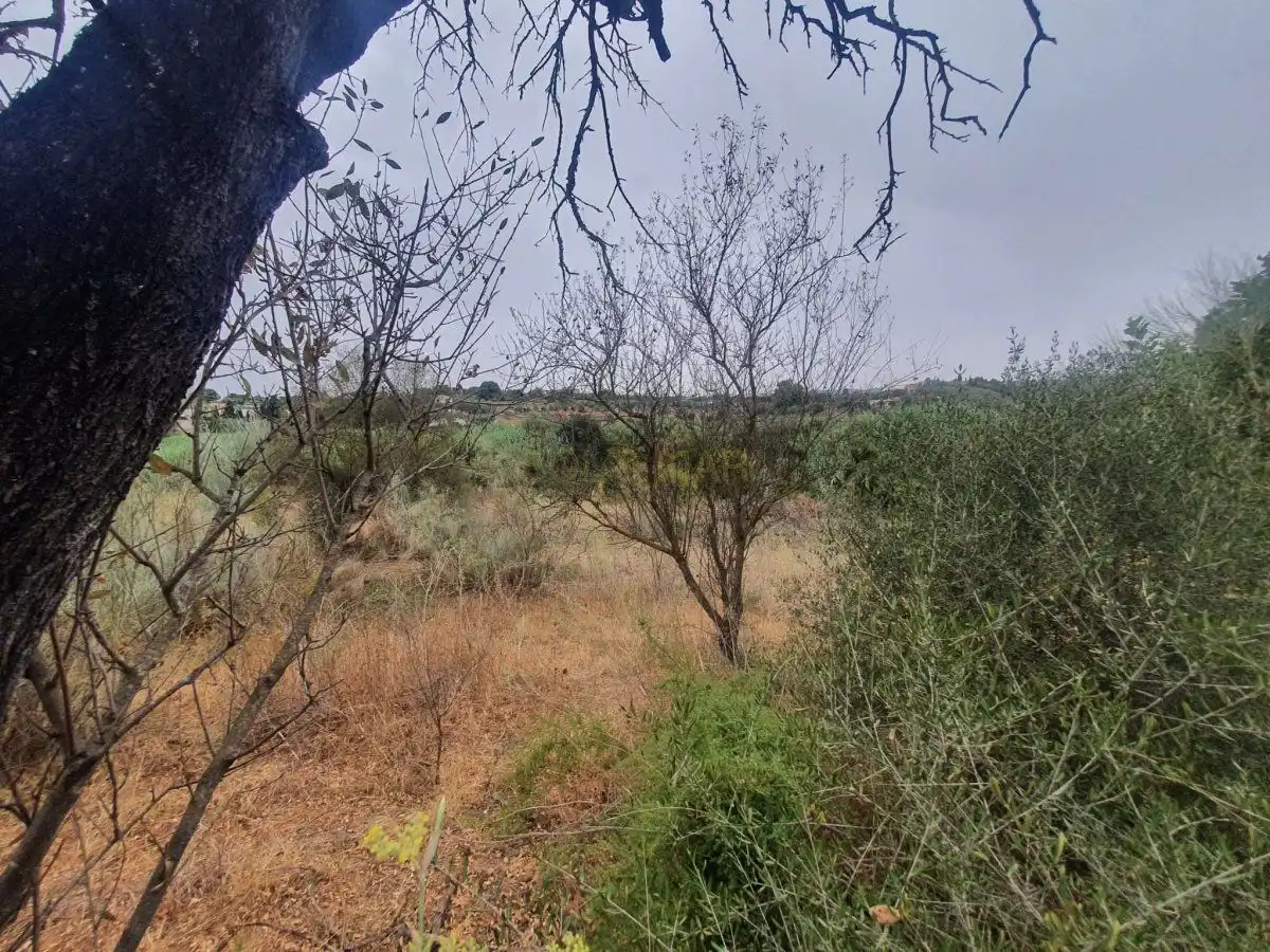 Finca rústica en venta en Málaga