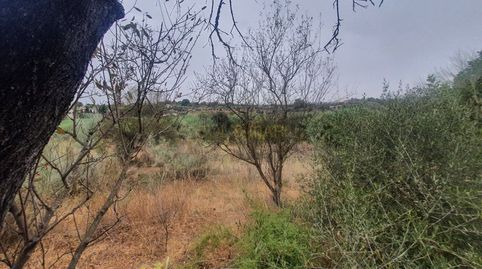 Foto 3 de Finca rústica en venta en Campanillas, Málaga Capital