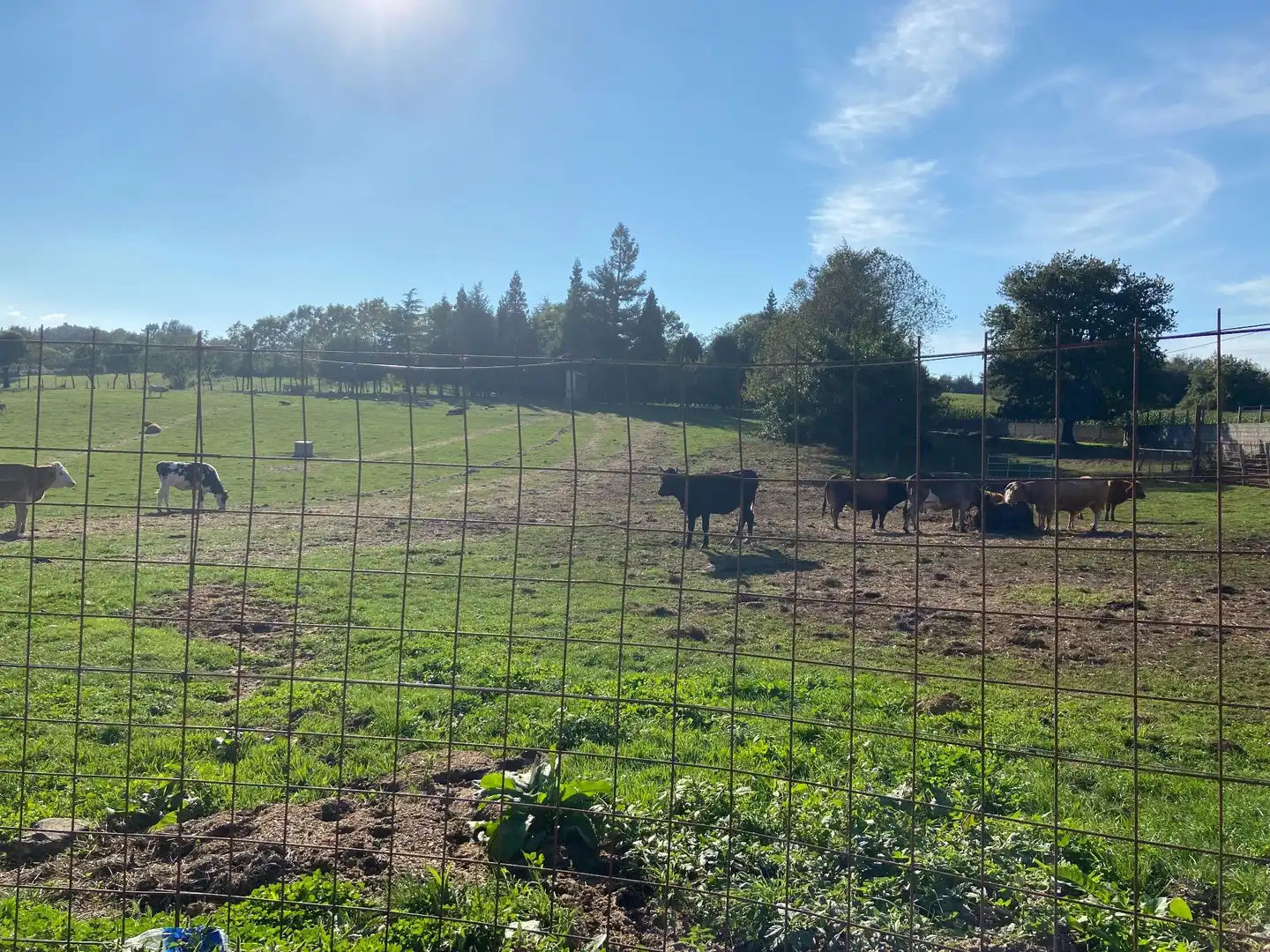 Terrenos y solares en venta en Lalín, imagen 16