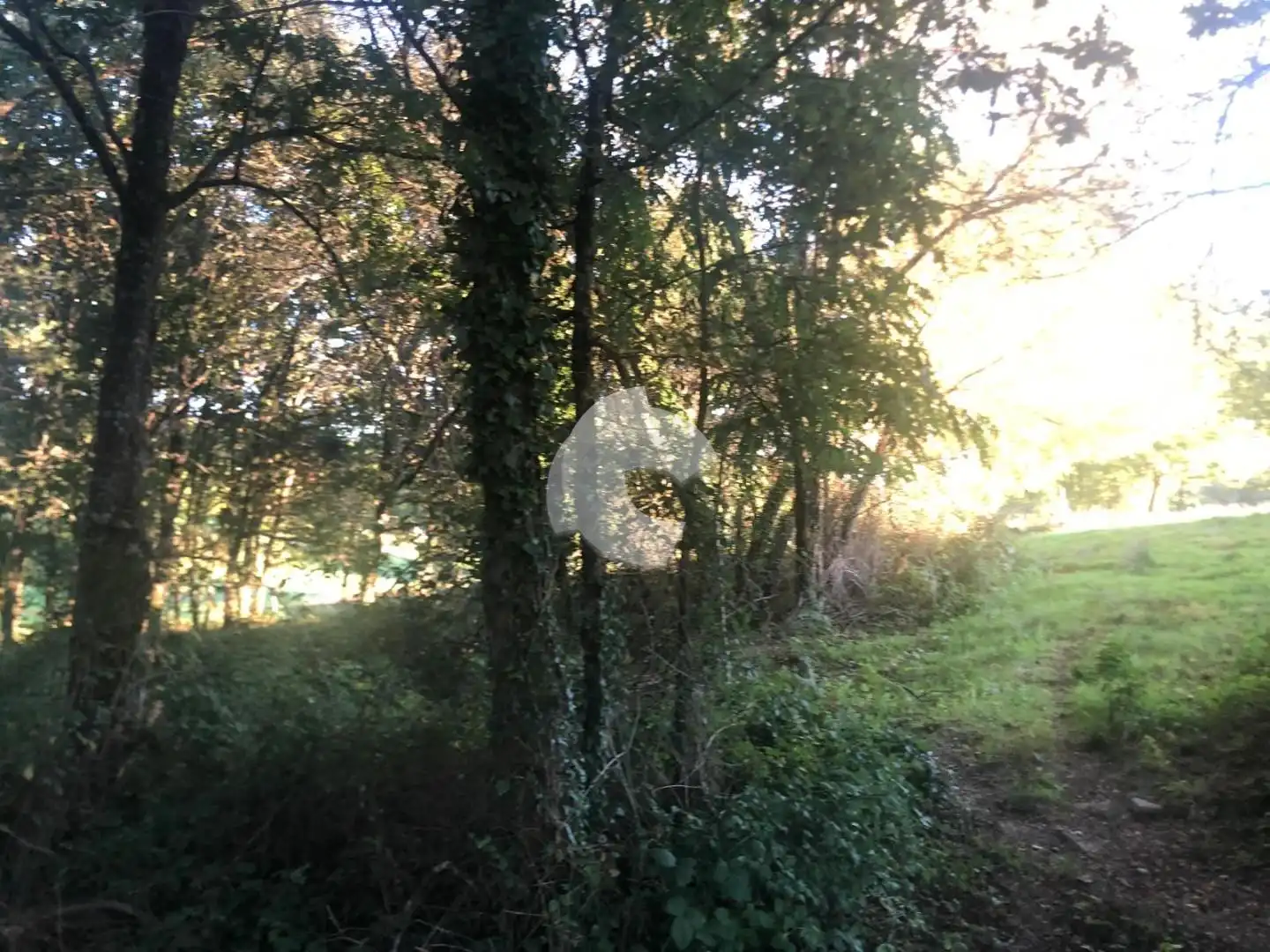 Terreni e lotti in vendita a Nogueira de Ramuín, imagen 43