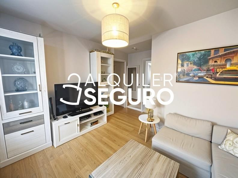Sala d'estar de Pis de lloguer en  Madrid Capital amb Aire condicionat, Calefacció i Moblat