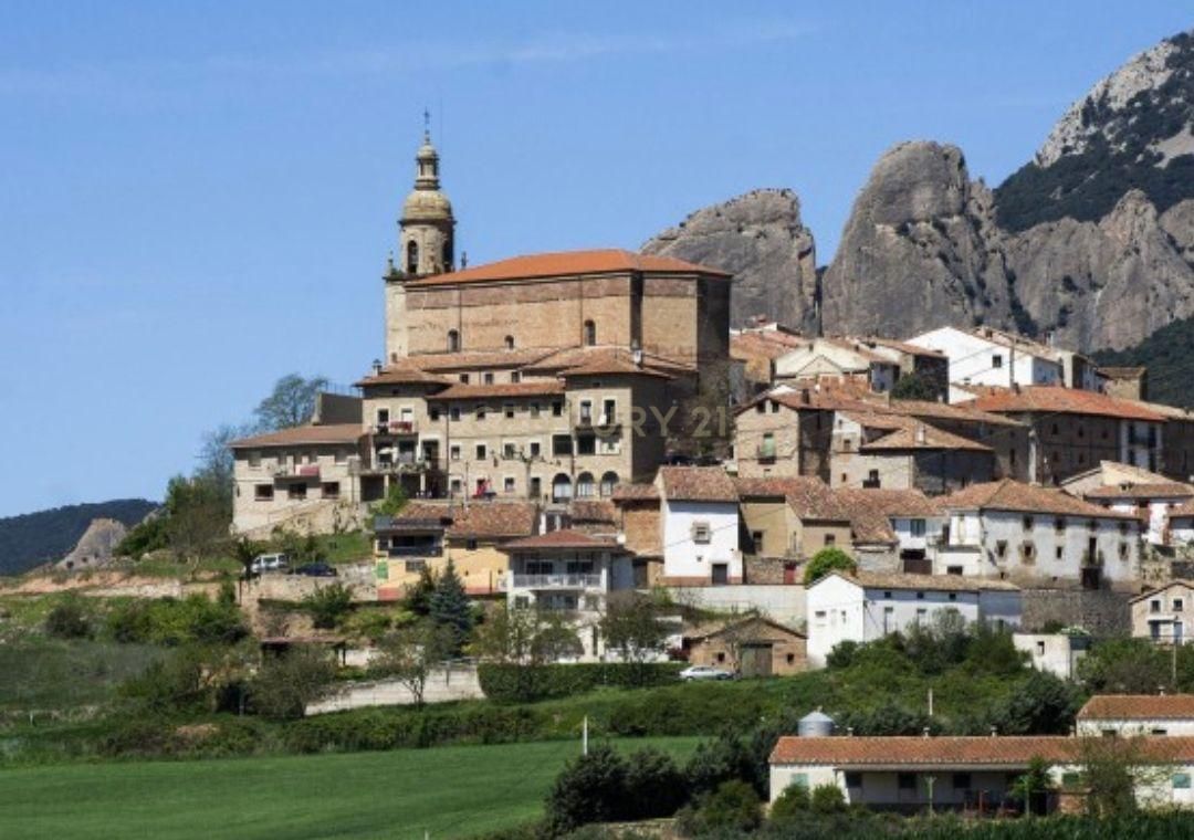 Exterior view of House or chalet for sale in Torralba del Río  with Storage room